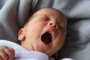 Baby Spotlight 104 2023722216 Web R K B By Sandra Werner Pixelio.de
